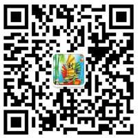 3200威尼斯vip